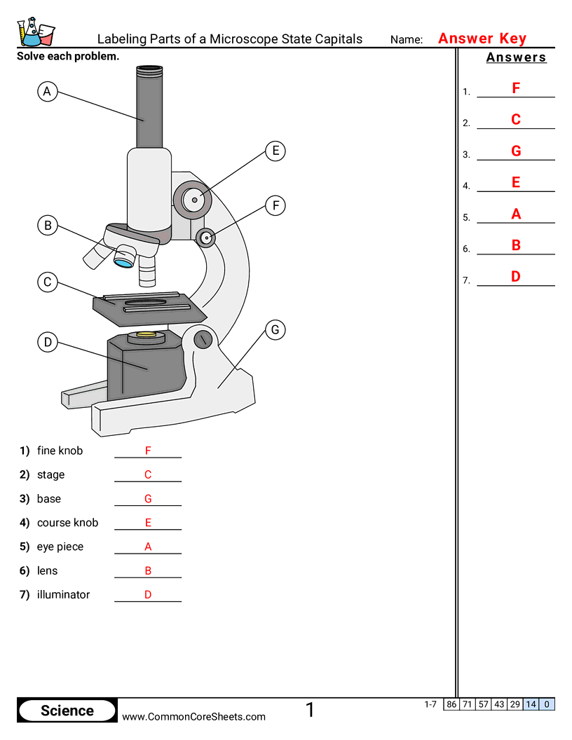 labeling tools Worksheets - Labeling Parts of a Microscope worksheet