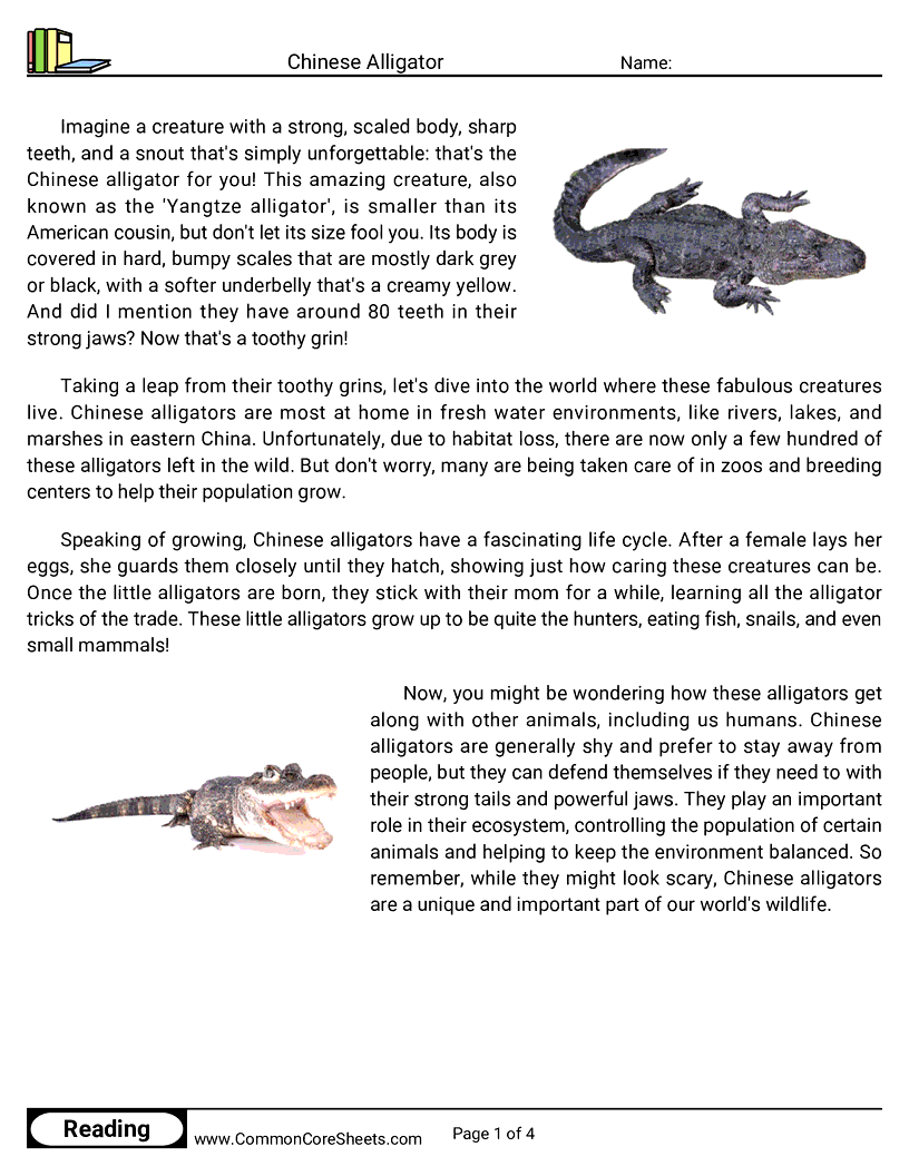 Reading Comprehension Reptiles - chinese-alligator worksheet