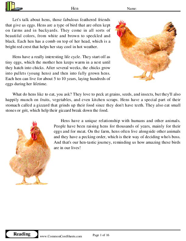  - hen worksheet