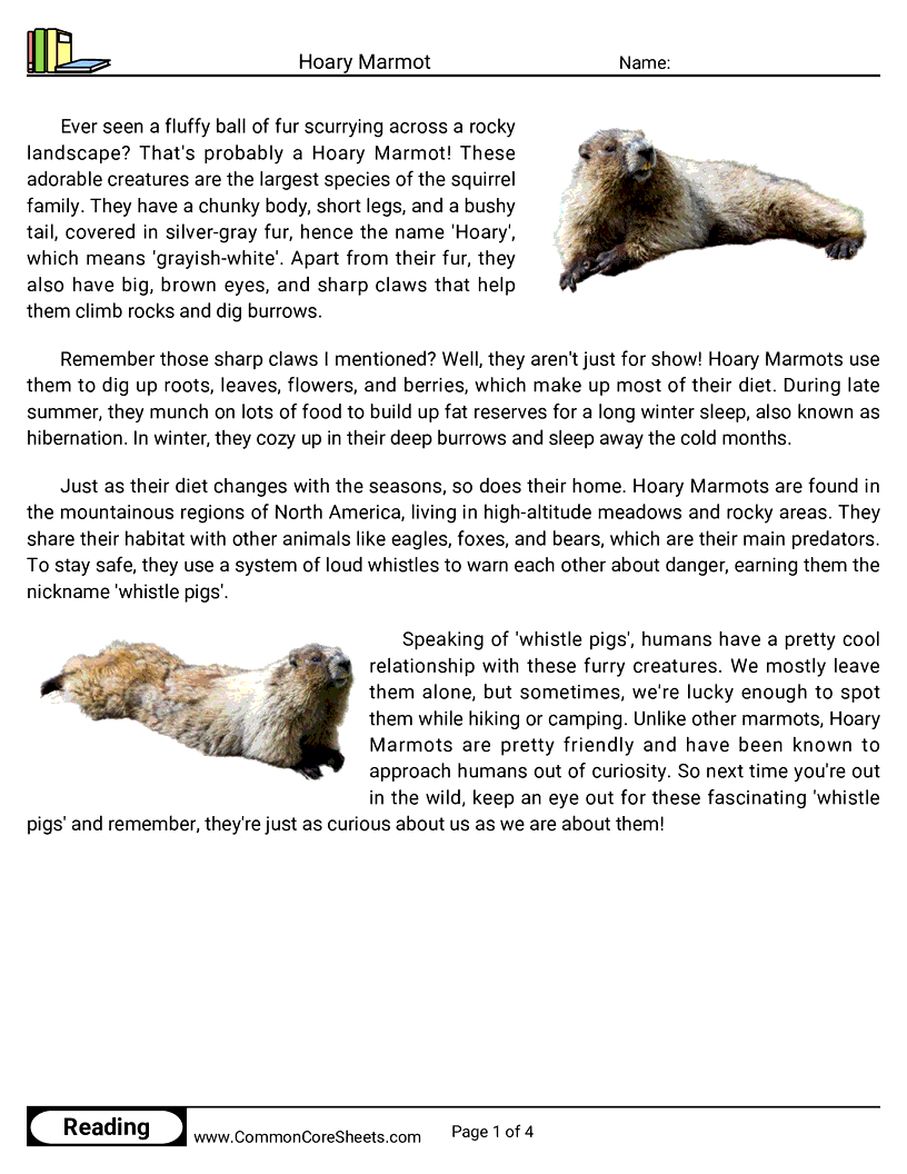 Reading Comprehension Mammals - hoary-marmot worksheet