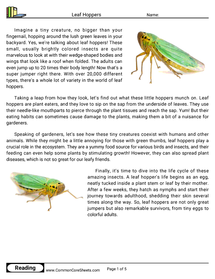 Reading Comprehension Insects Worksheets - leaf-hoppers worksheet