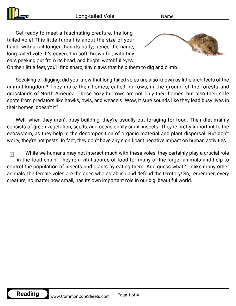 Reading Comprehension Mammals - long-tailed-vole worksheet