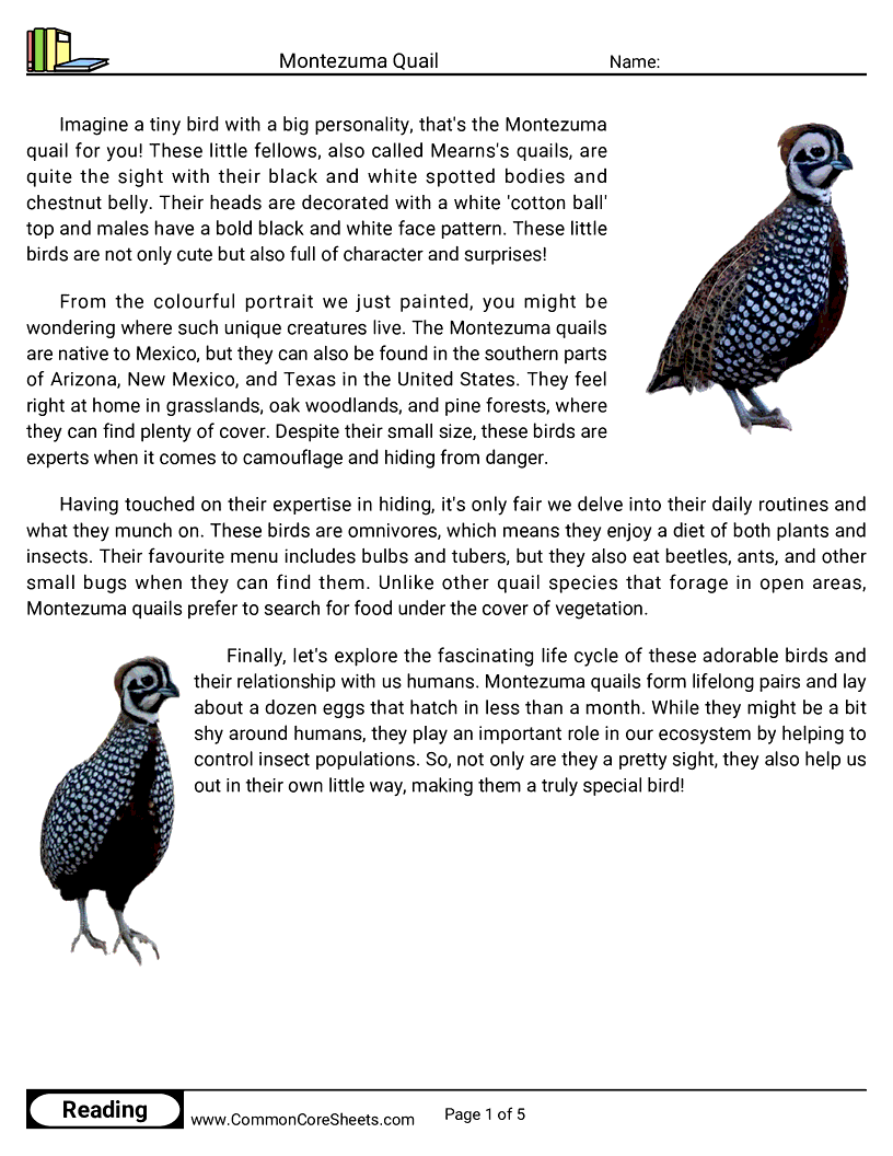 Reading Comprehension Birds Worksheets - montezuma-quail worksheet