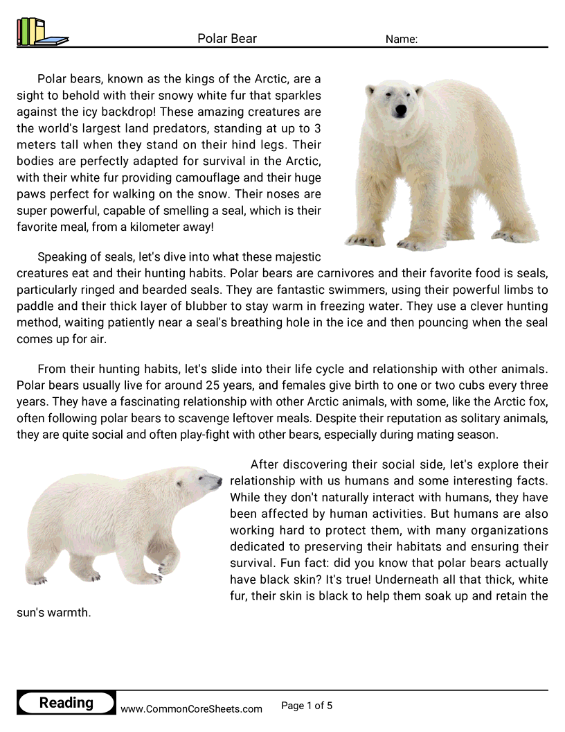 Reading Comprehension Mammals - polar-bear worksheet
