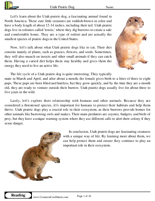  - utah-prairie-dog worksheet