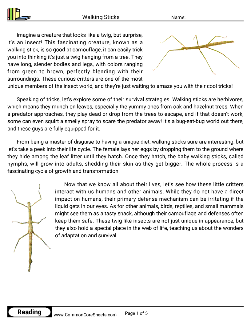 Reading Comprehension Insects Worksheets - walking-sticks worksheet