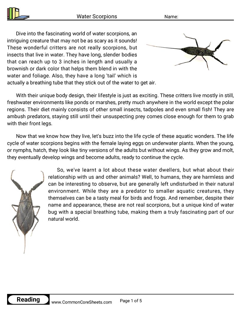 Reading Comprehension Insects Worksheets - water-scorpions worksheet