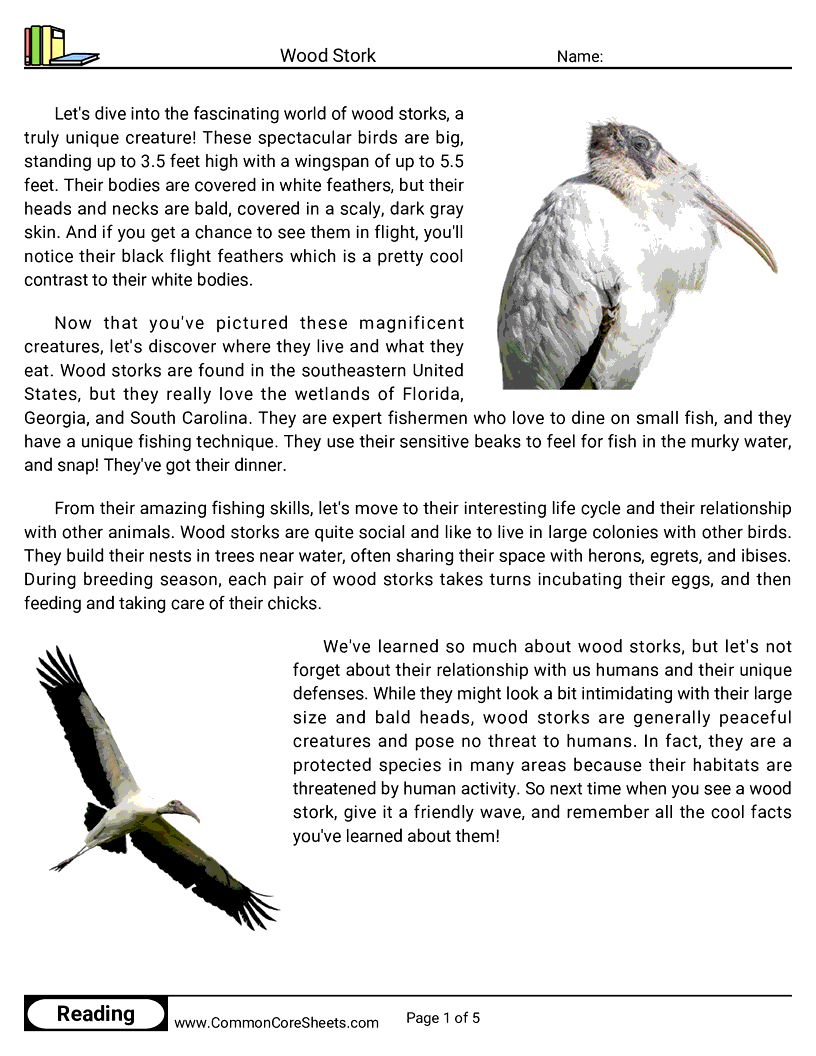 Reading Comprehension Birds Worksheets - wood-stork worksheet