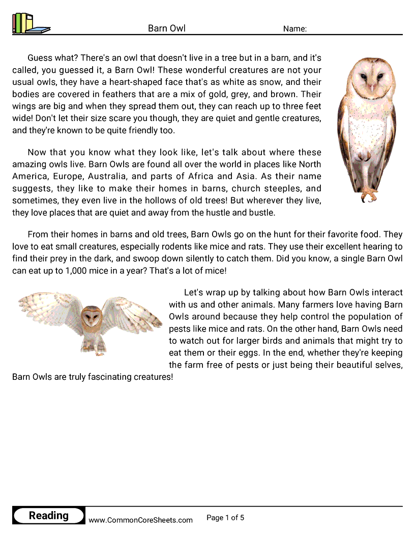 Reading Comprehension Birds Worksheets - barn-owl worksheet