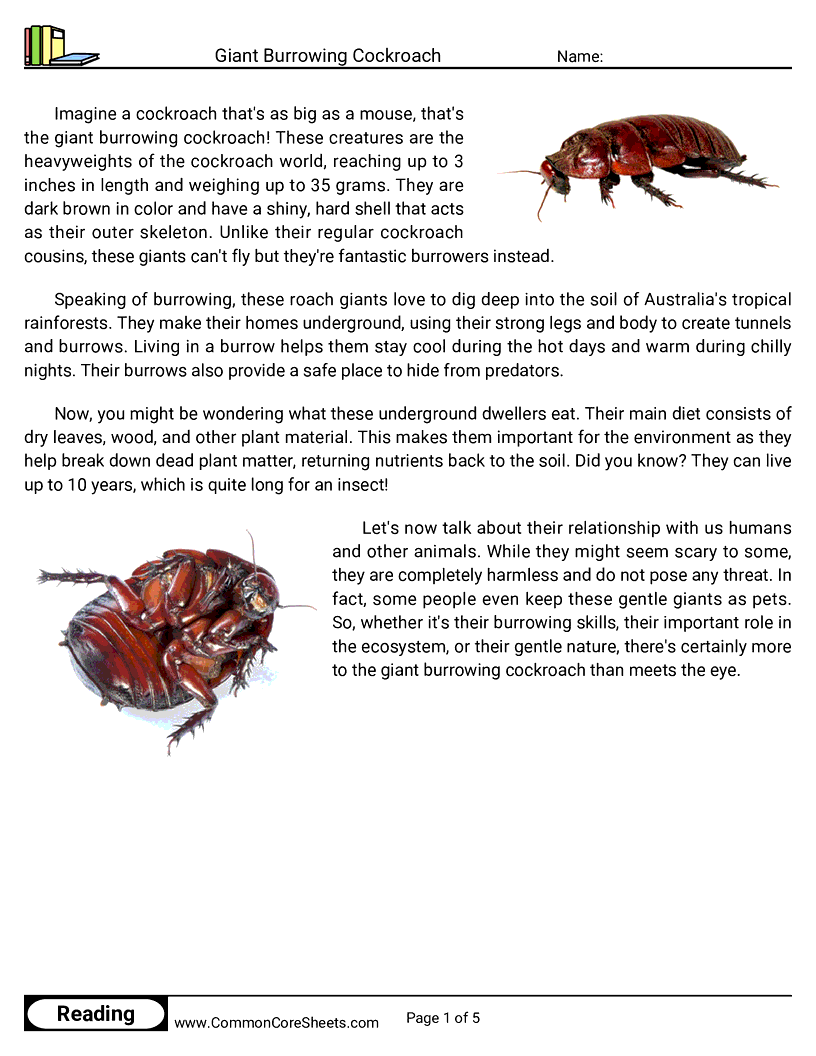 Reading Comprehension Insects Worksheets - giant-burrowing-cockroach worksheet