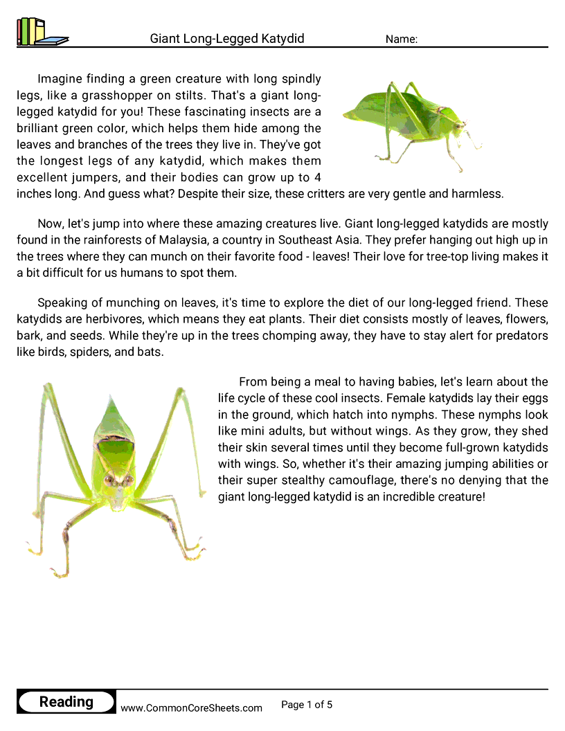Reading Comprehension Insects Worksheets - giant-long-legged-katydid worksheet